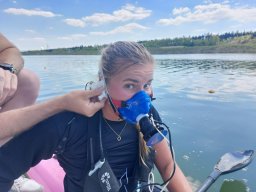 whatsapp image 2025-11-15 at 14.32.31